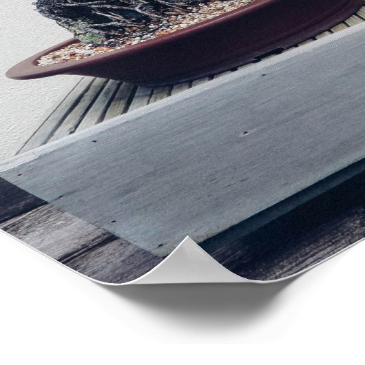 パイン盆栽 ポスター (角)