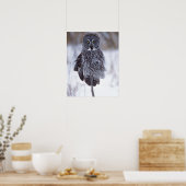 パイン素晴らしシティMNの近くの灰色フクロウ、 ポスター (キッチン)