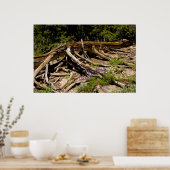 パイン落ちたツリー ポスター (キッチン)