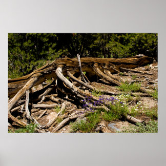 パイン落ちたツリー ポスター