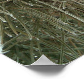 パイン霜の降りた ポスター (角)