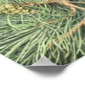 パイン・ドライド ポスター (角)