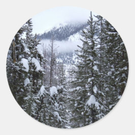 パイン ラウンドシール