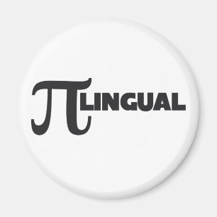 パイ日数学ギークユーモア マグネット