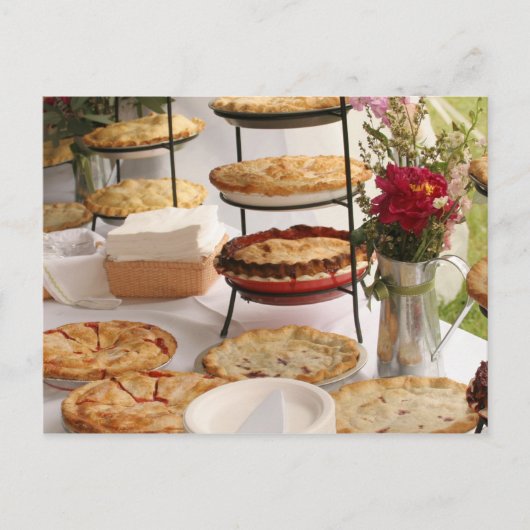 パイ ポストカード (正面)