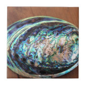 パウアアワビ青貝詳細 タイル (正面)