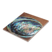 パウアアワビ青貝詳細 タイル (側面)