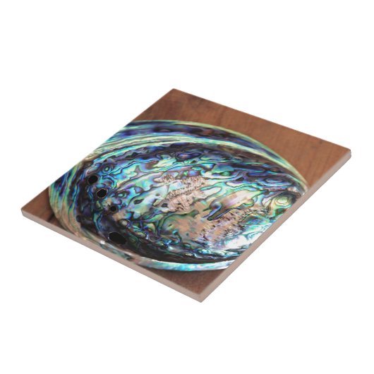 パウアアワビ青貝詳細 タイル (側面)