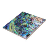 パウアアワロシェル詳細 タイル (側面)