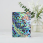 パウア貝殻の詳細 ポストカード (スタンド正面)