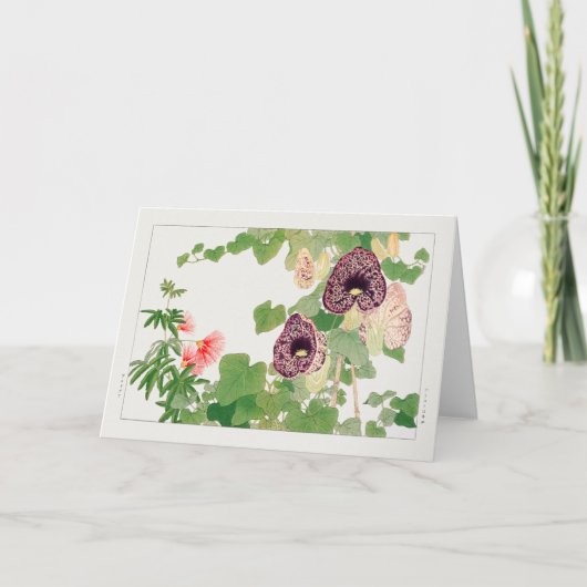 パウダーパフの木、Calicoの花Tanigami Kona カード (正面)