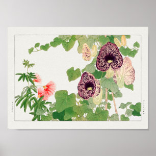 パウダーパフの木、Calicoの花Tanigami Kona ポスター