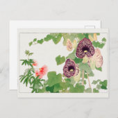 パウダーパフの木、Calicoの花Tanigami Kona ポストカード (正面/裏面)