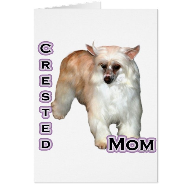 パウダーパフクリステッドママ4 (正面)