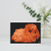 パウダーパフ ポストカード (スタンド正面)