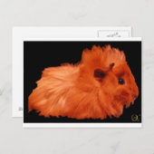 パウダーパフ ポストカード (正面/裏面)