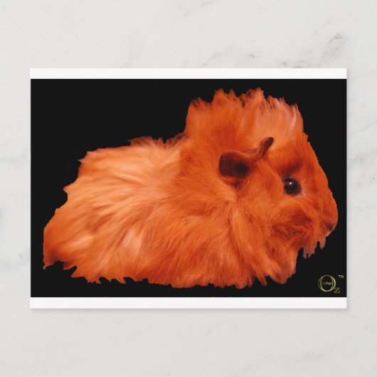 パウダーパフ ポストカード (正面)