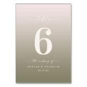 パウダーピンク&リリーグラデーショングモノグラムのロ結婚ング テーブルナンバー (正面)