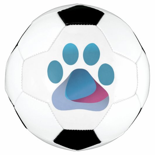 パウハグ ロゴ サッカーボール (正面)