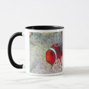 パウプニューギニア素晴らしバリアリーフ マグカップ