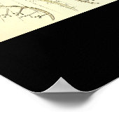 パエオダリア – プレート1 – クンストフォーメンデルナトゥール ポスター (角)