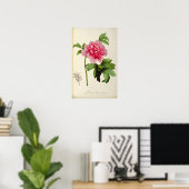 パエオニア・ムーダン， c.1799 ポスター (ホームオフィス)