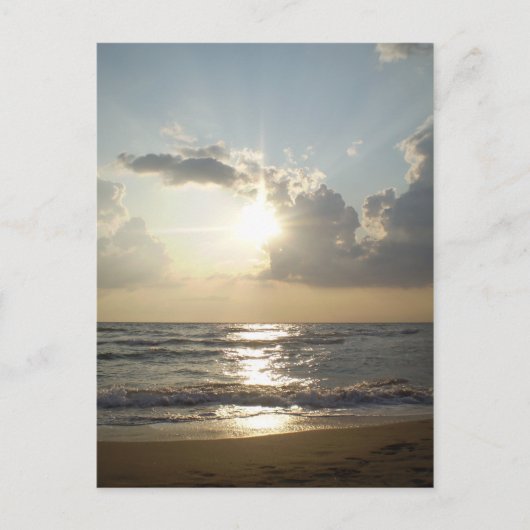 パエストムビーチ ポストカード (正面)