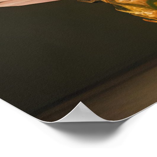 パオジアンとパイナップル ポスター (角)