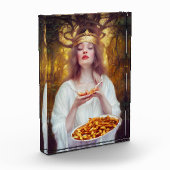 パオチンの多いプレートを持つ女神 フォトブロック (左)