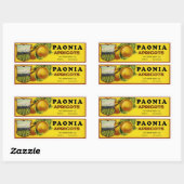 パオニアアプリコッツラベルアート 長方形シール (シート)