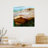 パキシス ポスター (キッチン)