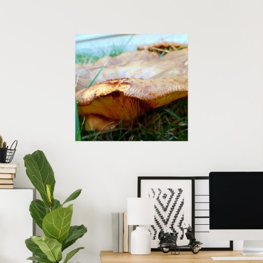 パキシス ポスター (ホームオフィス)