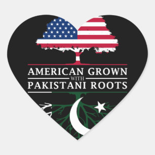 パキスタン人と育つアメリカ人はパキスタンを   定着させます ハートシール