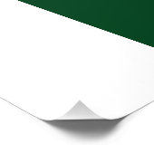 パキスタン国旗 フォトプリント            (角)