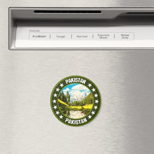 パキスタン マグネット (インサイチュ (食洗機))