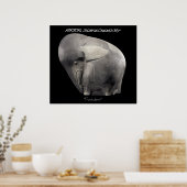 パキデルム ポスター (キッチン)