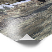 パキヒノサウルス恐竜歩く- 3D 描写 フォトプリント            (角)