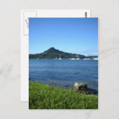 パクタイルアニュージーランド魚釣りクラブ ポストカード (正面/裏面)