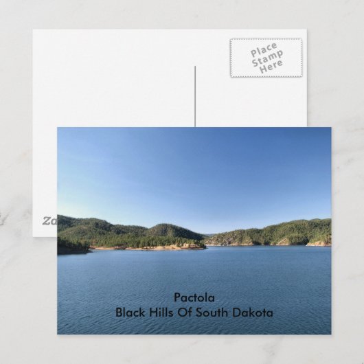 パクトラ… ポストカード (正面/裏面)