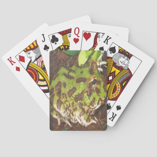 パクマンカエルトランプ トランプ (裏面)