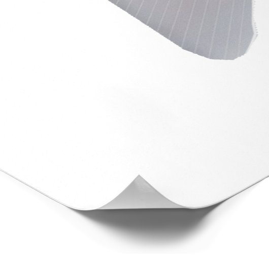 パクムルティンガ ポスター (角)