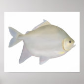 パクムルティンガ ポスター (正面)