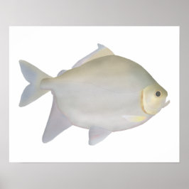 パクムルティンガ ポスター