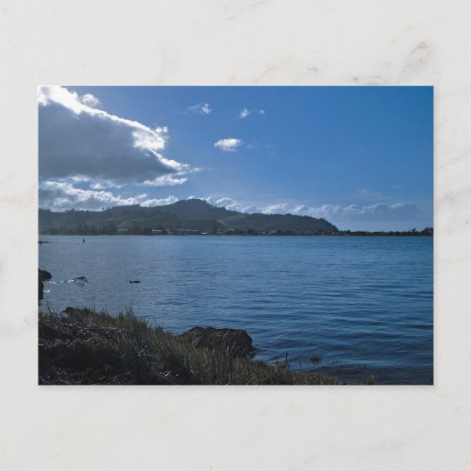 パク山タイルアコロマンデルニュージーランドはがき ポストカード (正面)