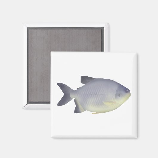 パク・カラハナ マグネット (正面/裏面)