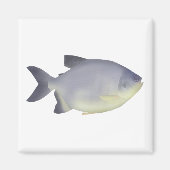 パク・カラハナ マグネット (正面)