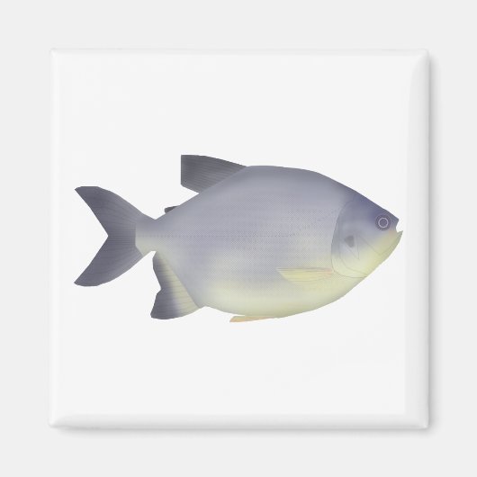 パク・カラハナ マグネット (正面)