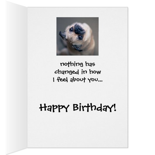 パグおもしろいドッグソーシャル配信誕生日