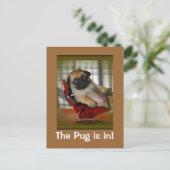 パグが入った！ ポストカード (スタンド正面)