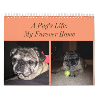 パグのカレンダー カレンダー